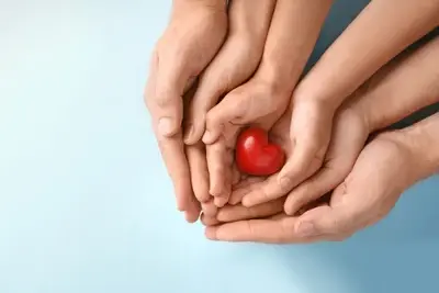 Hands in hands holding heart