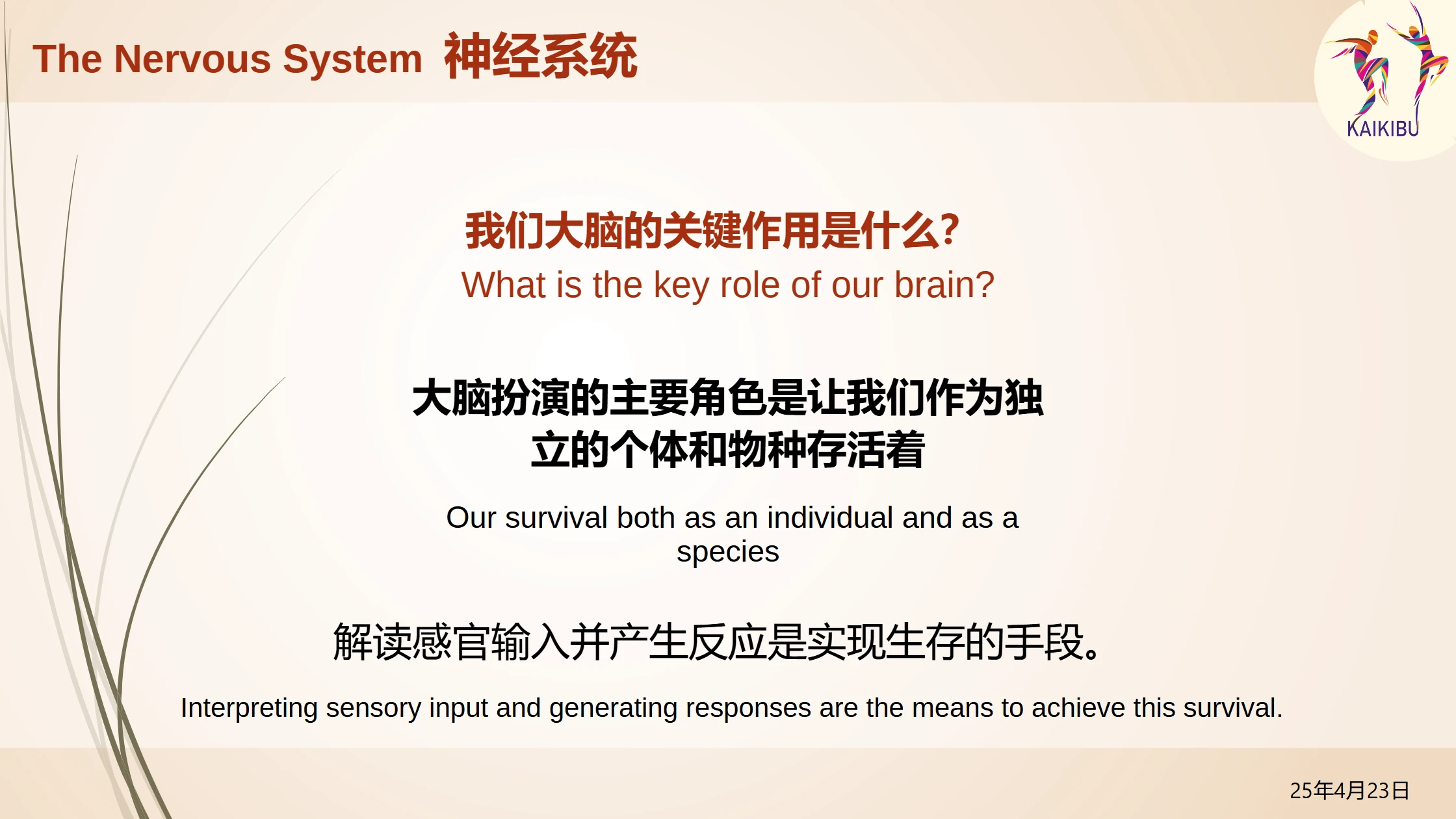 TALK_Neuro-Anatomy of Movement_p9