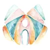 The Intelligent Pelvic Floor: Deep Practice to Clarity