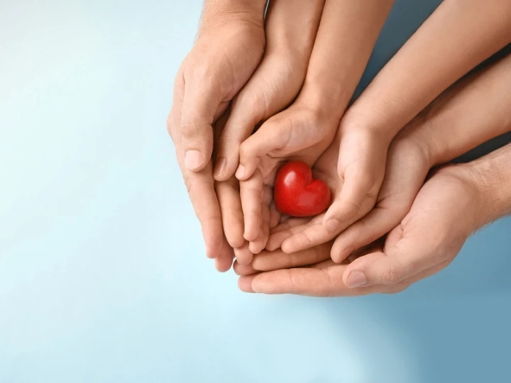 Hands in hands holding heart