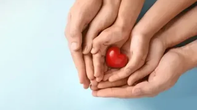 Hands in hands holding heart